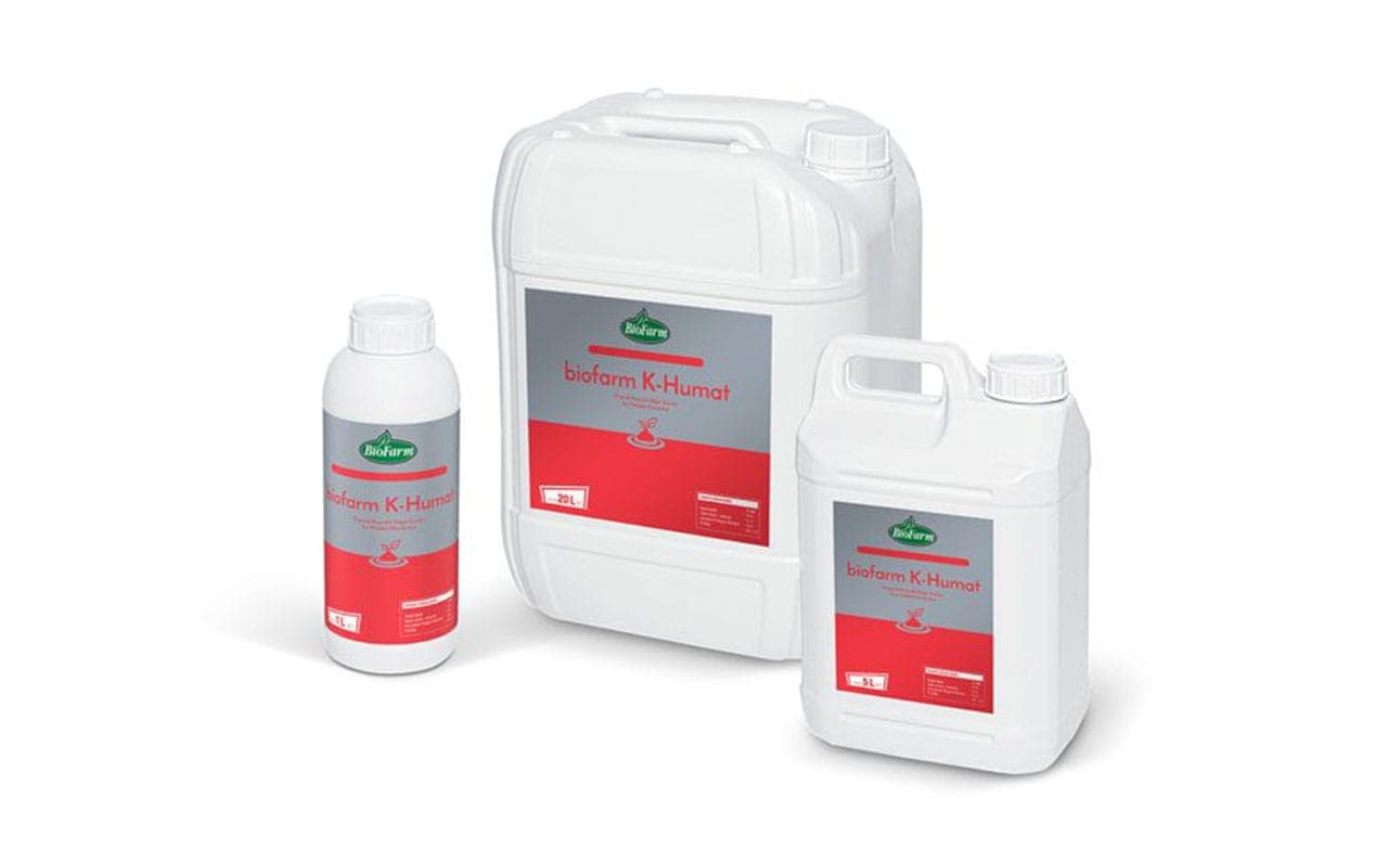 ÇAMLI – image 2