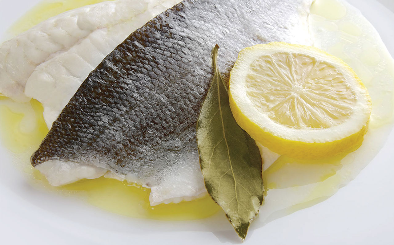 Pınar Balık için hazırlanan tasarım projesi - SALT Kreatif.