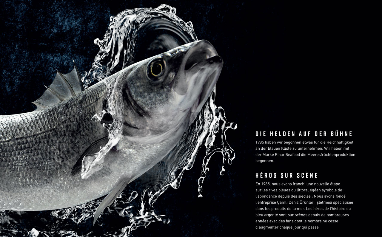 Pınar Balık için hazırlanan tasarım projesi - SALT Kreatif.