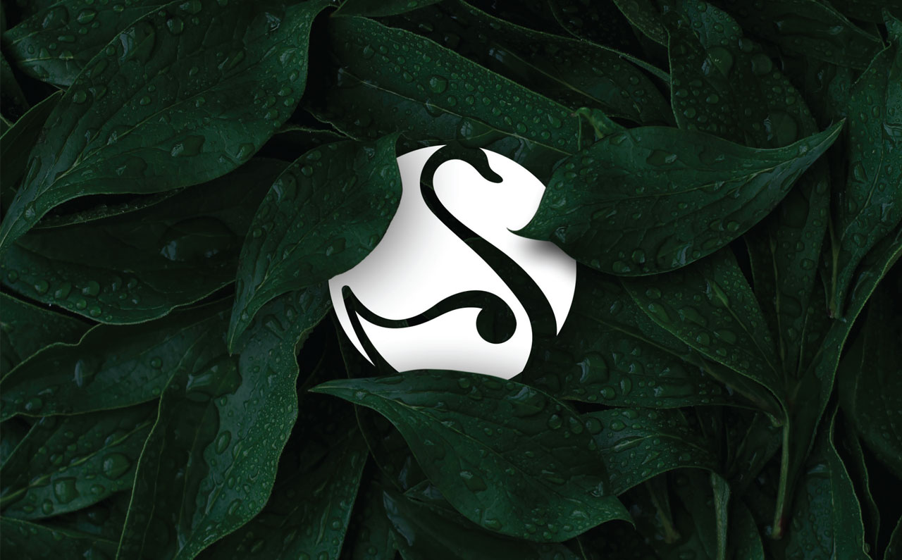 Seramiksan için hazırlanan tasarım projesi - SALT Kreatif.