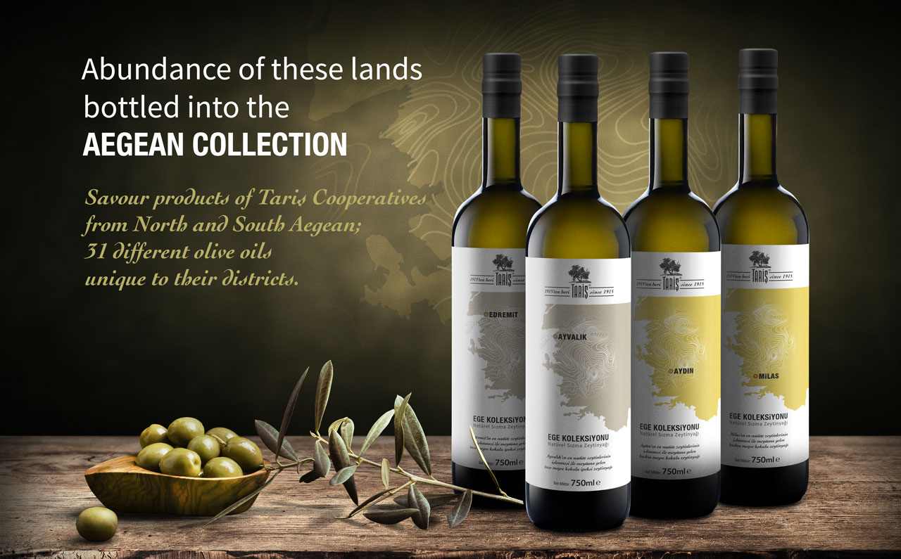 Tariş için hazırlanan tasarım projesi - SALT Kreatif.