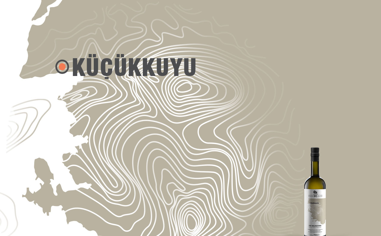 Tariş için hazırlanan tasarım projesi - SALT Kreatif.