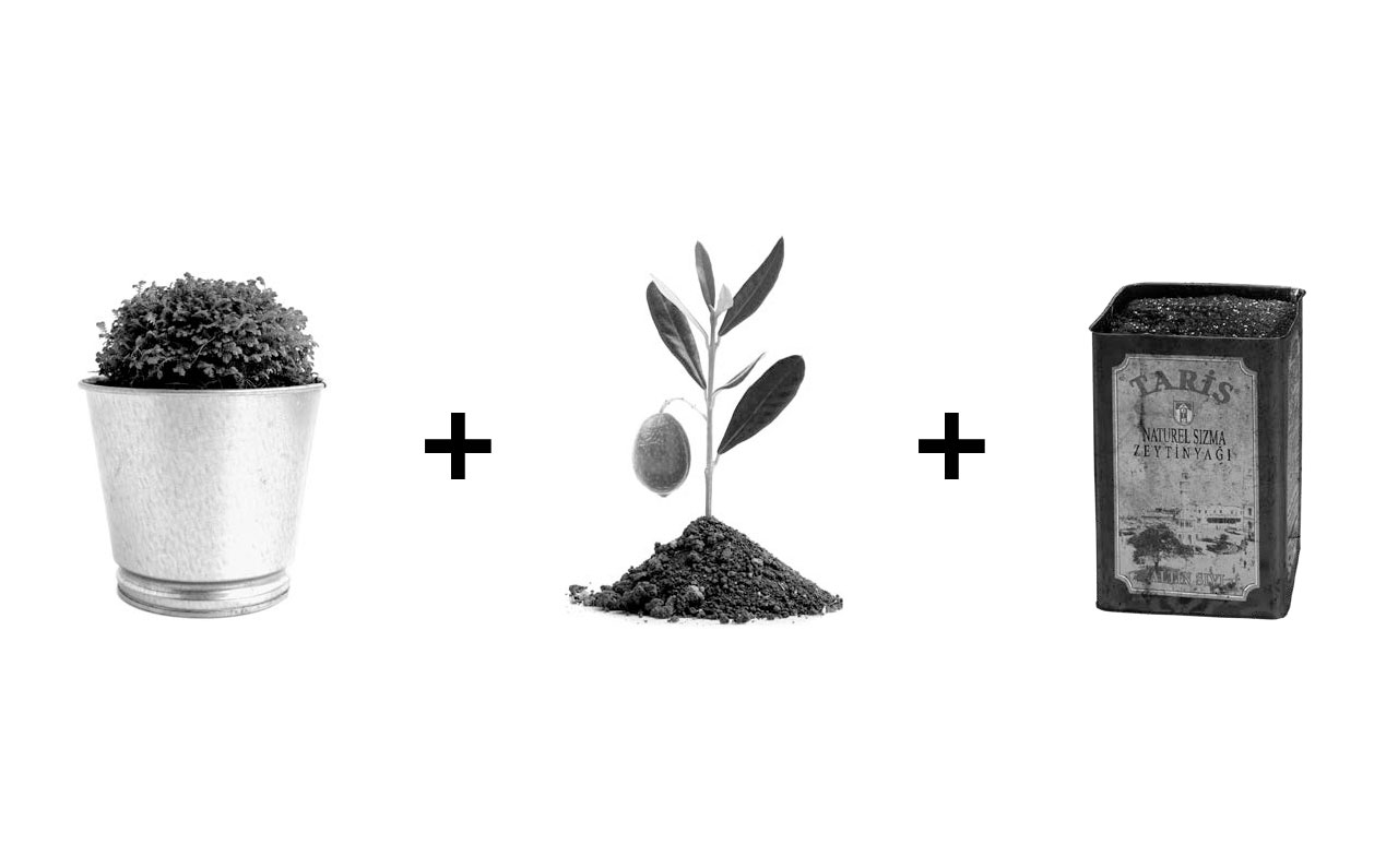 TARİŞ için hazırlanan tasarım projesi - SALT Kreatif.