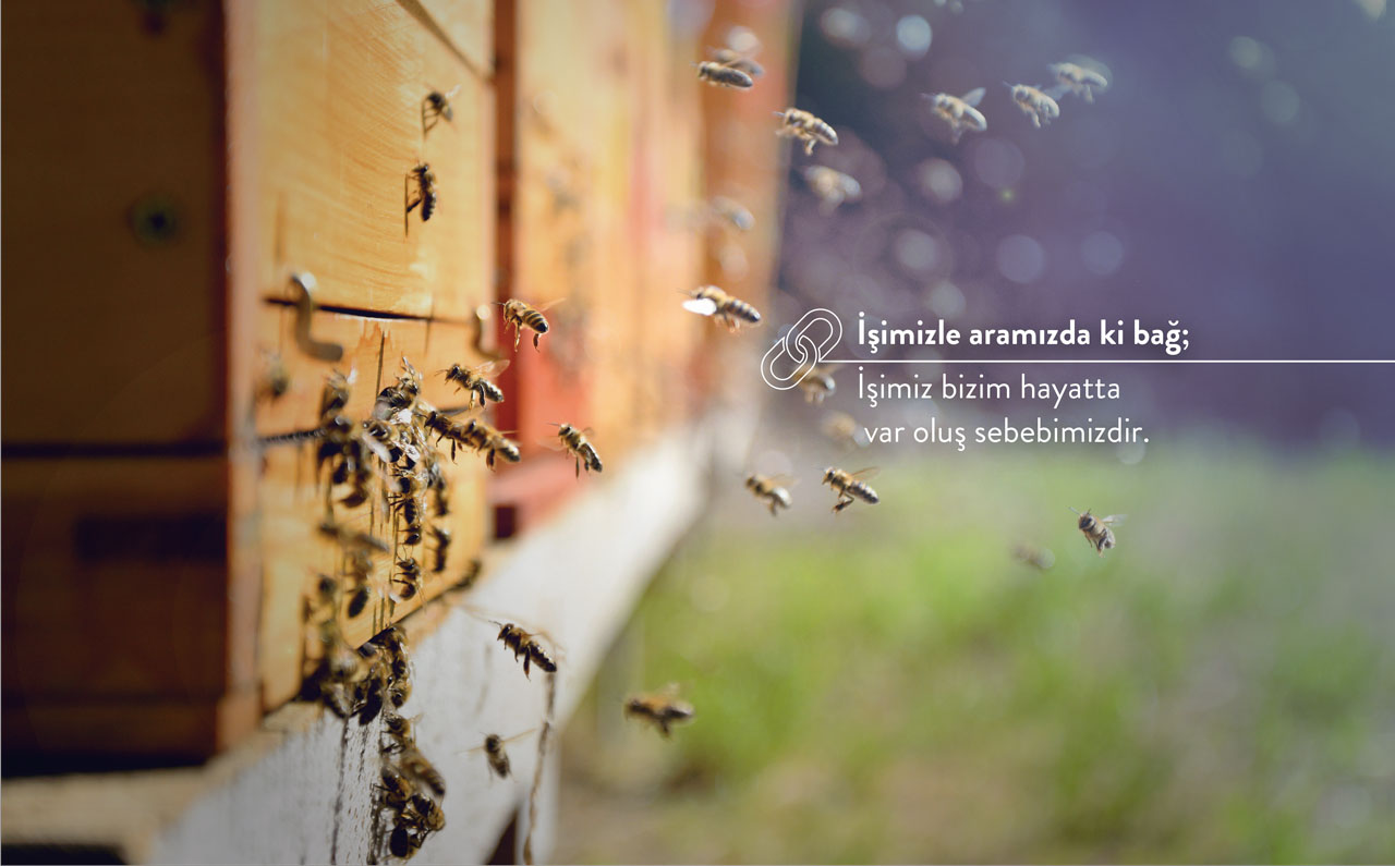 DİKKAN - 365 GÜNLÜK MÜHENDİSLİK